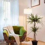 Sleeping In Main Market Appartement *